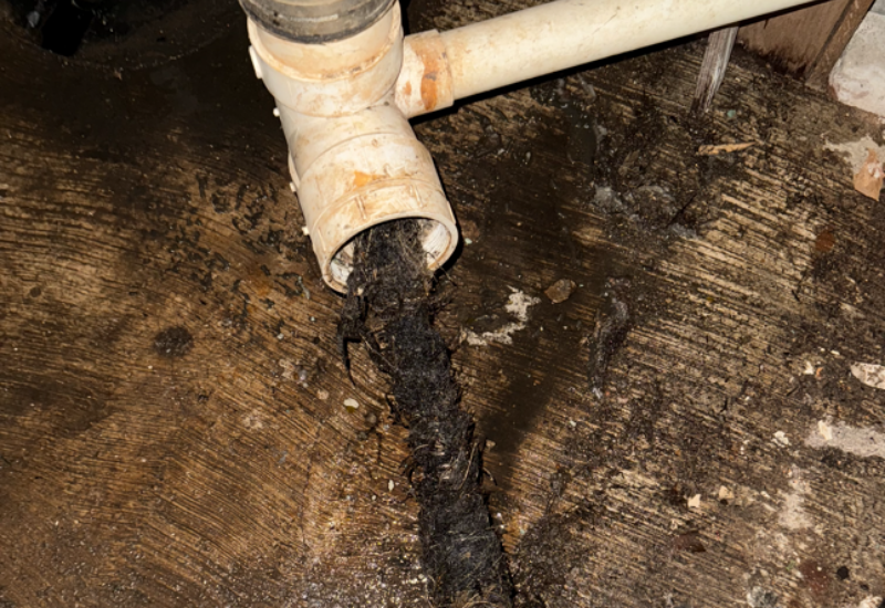 Clogged Sewer Main