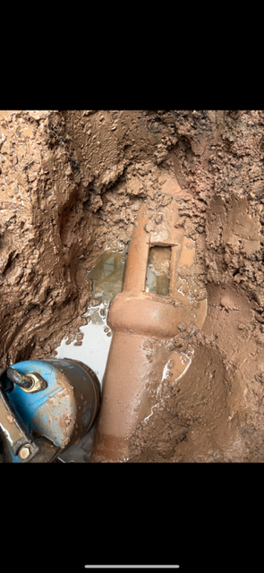 Clogged Sewer Main