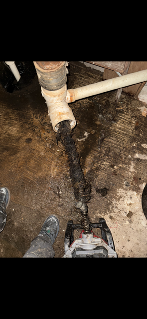 Clogged Sewer Main
