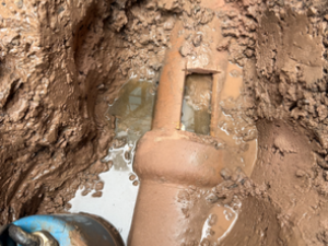 Clogged Sewer Main
