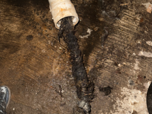 Clogged Sewer Main
